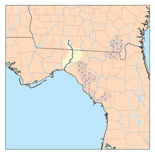 Aucilla River River in Florida and Georgia, United States