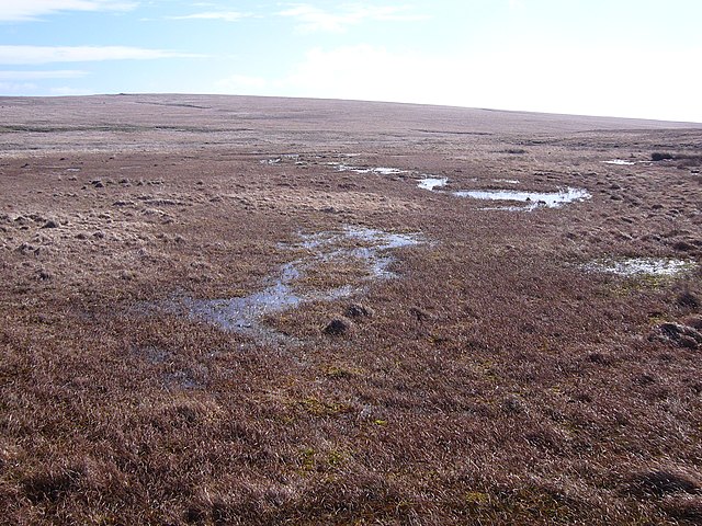 Aune Mire, the source of the River Avon