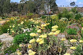 Australian Botanic Garden Mount Annan 11.jpg