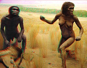 Australopithecus couple.jpg