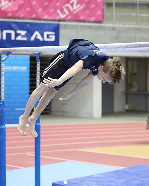 File:Austrian Future Cup 2018-11-23 Training Afternoon Parallel bars (Martin Rulsch) 0292.jpg