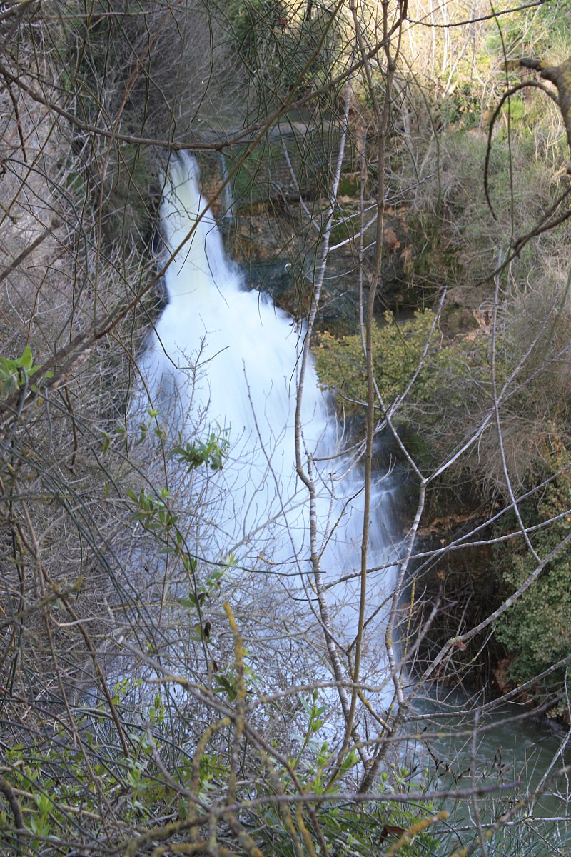 Perennial stream - Wikipedia