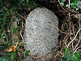 Inscribed with 'BB 31' (Bexhill Borough). At the time of the incorporation of Bexhill Borough in 1902, the boundary was marked out by 63 large stones placed along the perimeter from Normans Bay on the west, through Lunsford Cross on the north of the town and Glyne Gap on the east, also the Hastings county borough boundary.