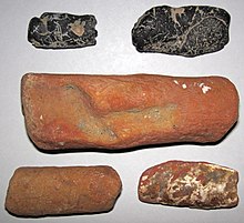 Baculites (fosil amonit) (Ozan Pembentukan Upper Cretaceous; timur Texas, amerika SERIKAT) 1.jpg