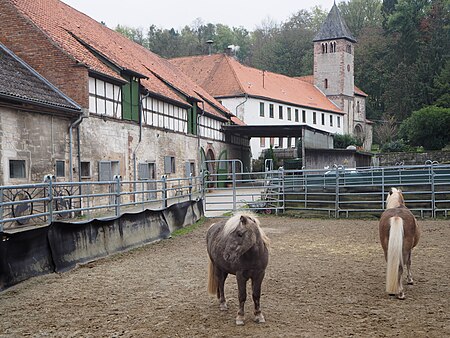 Bad Gangersheim Clus Ponny Gestüt 2019