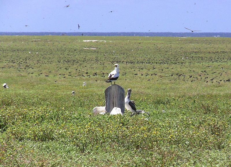 File:Baker Island Gravesite.JPG