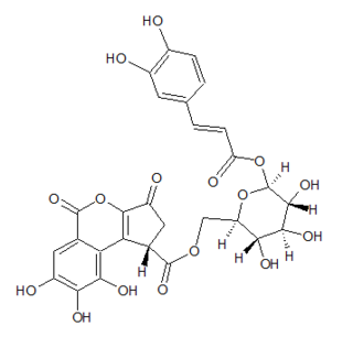 <span class="mw-page-title-main">Balanophotannin D</span> Chemical compound