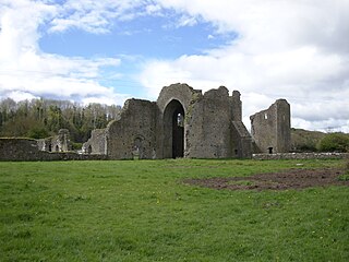 <span class="mw-page-title-main">Ballybeg Priory</span> Ruined priory in Cork, Ireland