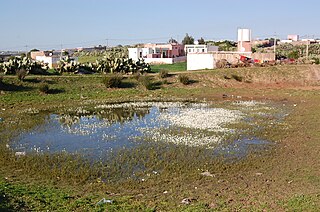Mogress Rural commune and townPopulated places in El Jadida Province in Casablanca-Settat, Morocco