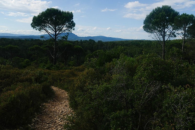 File:Belvédère de Clapiers.jpg