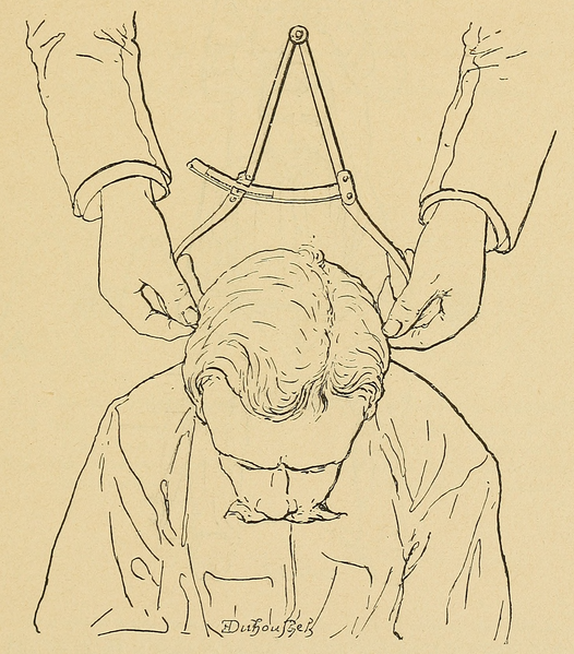 File:Bertillon - Identification anthropométrique (1893) 259.png