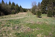 Impressionen aus dem Biospärenreservat Rhön an der hessisch-thüringischen Landesgrenze nahe Frankenheim/Rhön am Parkplatz "Westliches Rhönvorland", Ehemaliger Grenzweg der NVA, sichtbare Sukzession der Flächen