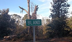 Bland, Alachua County, FL, USA.jpg