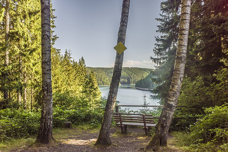 File:Blick zur Ohratalsperre über eine Bank in der Nähe des Böhlerlochs.jpg