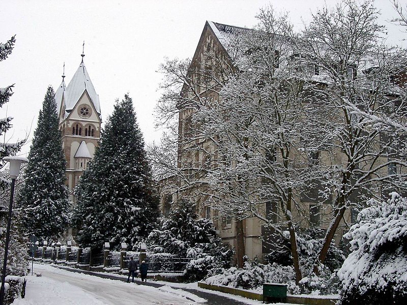 File:Bonifatiuskloster Hünfeld - 27.12.05.JPG