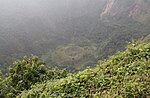 Thumbnail for El Boquerón National Park