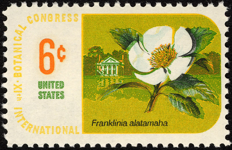 File:Botanical Congress Franklinia 6c 1969 issue U.S. stamp.jpg