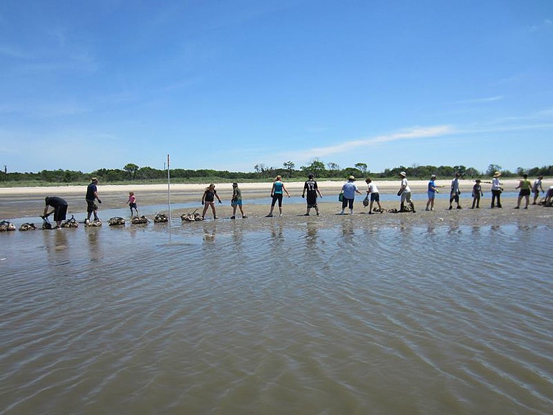 File:Bucket brigades! (18394024141).jpg