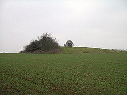 Illustrasjonsbilde av artikkelen Necropolis of Ernes-Condé