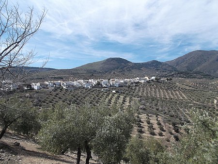 Cárcheles