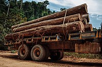 中央道の主要な目的の一つが、山岳地帯にある天然資源の開発である。このため森林資源、鉱物資源、水力資源の大規模開発を計画したが[95]、それと高速道路の計画は釣り合わないのではないかと専門家は指摘した[96]。