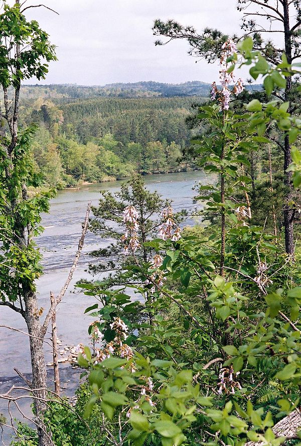 Cahaba River