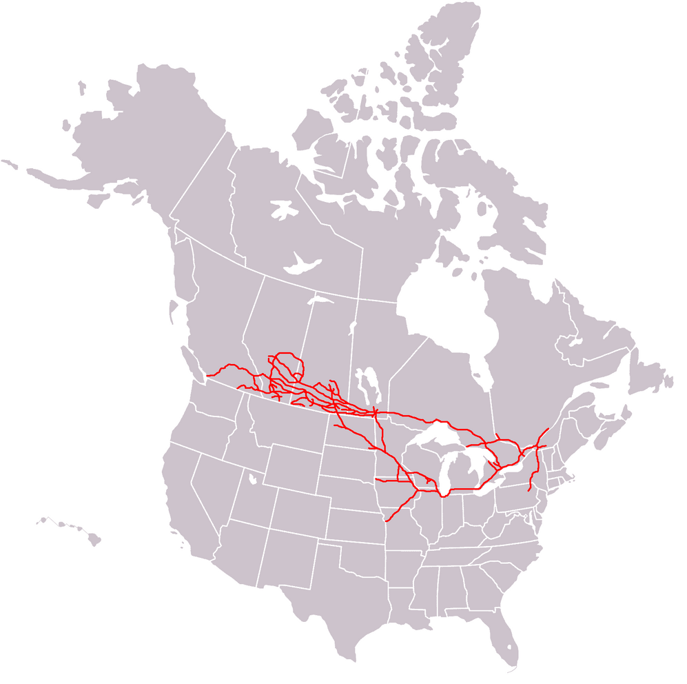 Canadian Pacific Railway-avatar