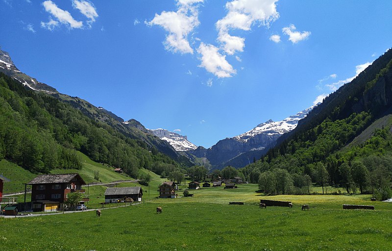 File:Canton de l'Uri, Suisse (48048729747).jpg