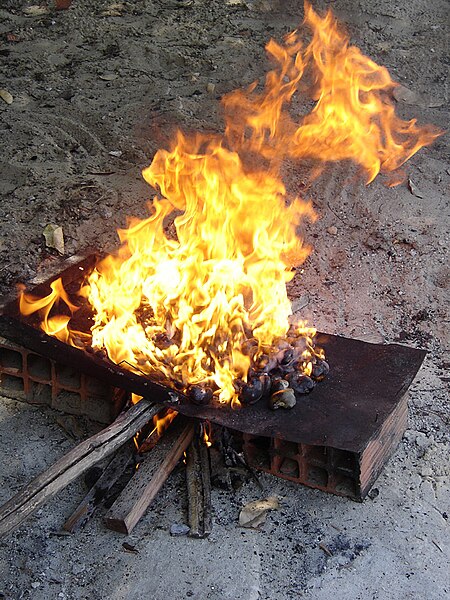 File:Cashew roasting trad 3bis.jpg