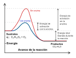 Nova imatge SVG