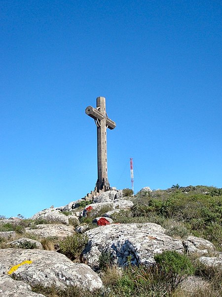 Butia stolonifera