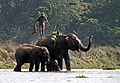 Chitwan-Elefanten-04-Bad-2013-gje.jpg