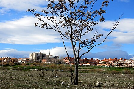 Ciempozuelos