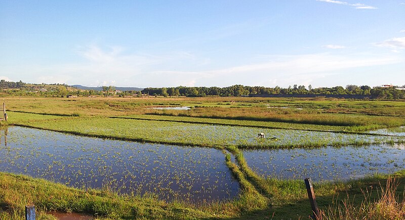 File:Coastal plains near Sihanoukville.jpg