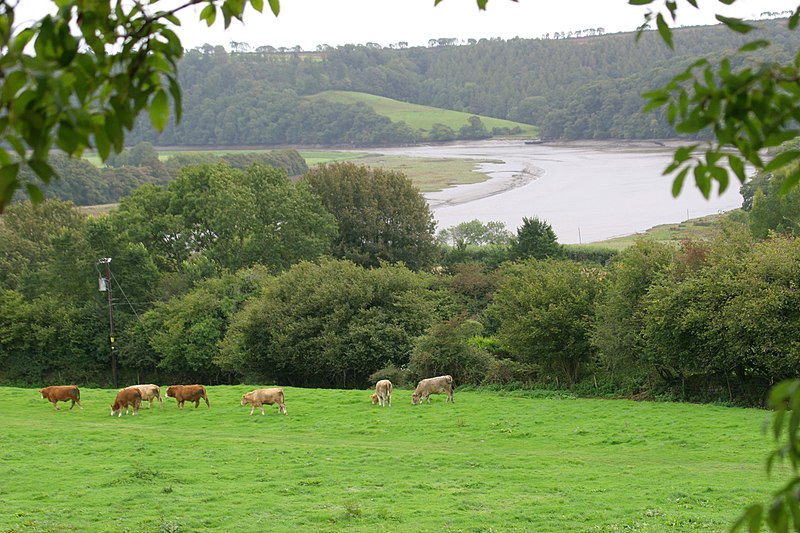 File:Cornwall-02-Tamar-River-2004-gje.jpg