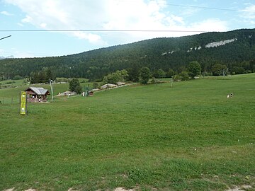 Les Rambins în 2011.