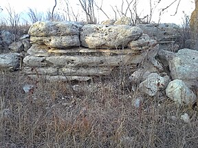 Cottonwood Limestone, Konza Trail Outcrop.jpg