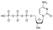 Estructura quimica de la desoxicitidina trifosfat