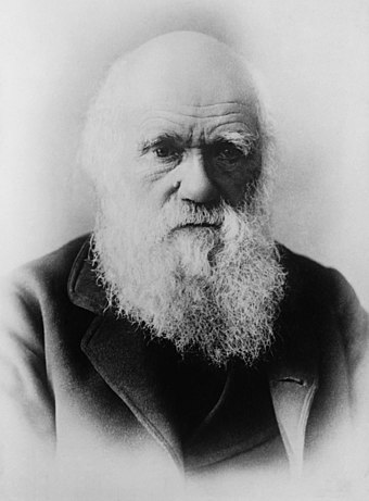 Charles Darwin (1809–1882), whose theory of evolution by natural selection is the foundation of modern biological sciences