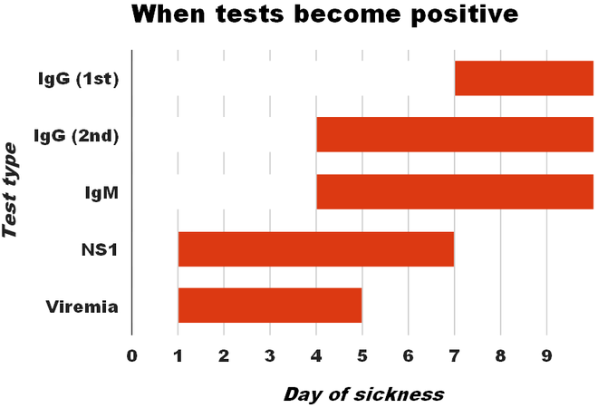 Graph of when laboratory tests for dengue fever become positive