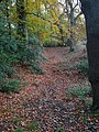 Detail of the putatively prehistoric earthworks on West Wickham Common, located between West Wickham and Hayes.