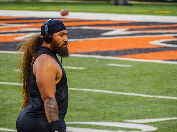 Facts about Domata Peko - The Meaning 