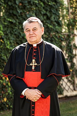 Dominik kardinál Duka, primas český, arcibiskup pražský a metropolita český.