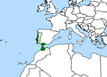 Mapa de Drosophyllum.png