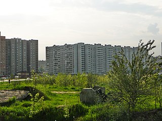 Дзержинский - город в городском округе Дзержинский Московской области Российской Федерации