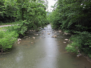 <span class="mw-page-title-main">East River (New River tributary)</span> River in Virginia, United States