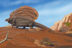 Edaphosaurus pogonias and Platyhystrix – Early Permian, North America and Europe