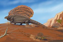 Permikaudella elänyt Edaphosaurus (kuvan suurempi eläin)