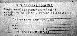 Petition form created by Elsie Elliot against the Star Ferry fare increase Elliot petition.jpg