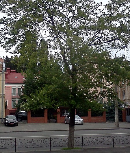 Embassy of Kazakhstan in Kyiv.jpg